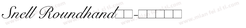 Snell Roundhand字体字体转换